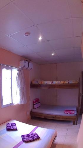 Surfari Bocas B&B