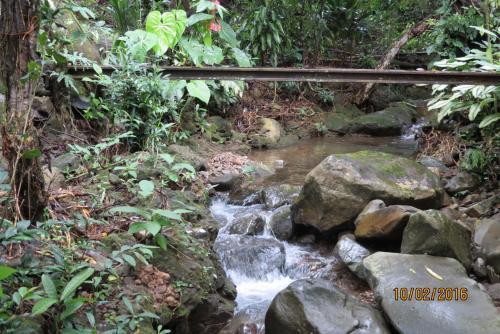 Bed & Breakfast Alto Boquete Hostal