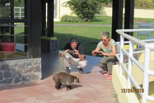Bed & Breakfast Alto Boquete Hostal