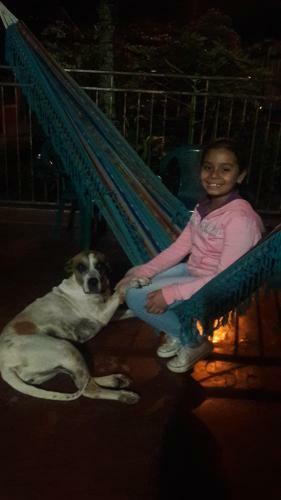 Bed & Breakfast Alto Boquete Hostal