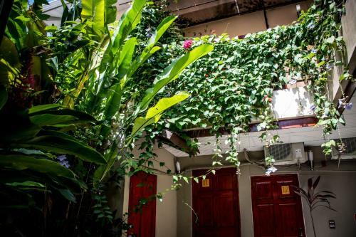 Sun Havens Apartments & Suites