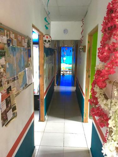 Ciko Hostel Farallon Panama