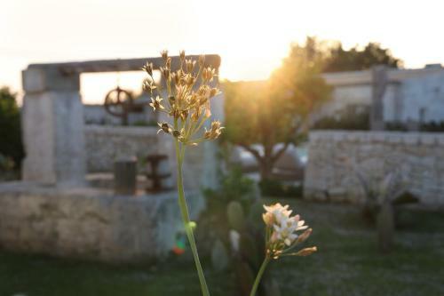 Apartamento Borgo Sentinella