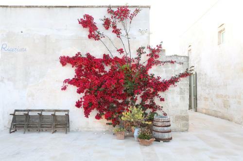 Apartamento Borgo Sentinella
