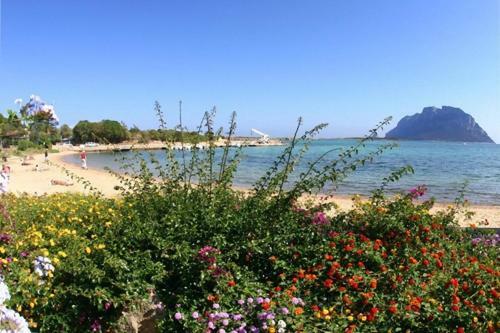Baia De Bahas - Apartments & Resort