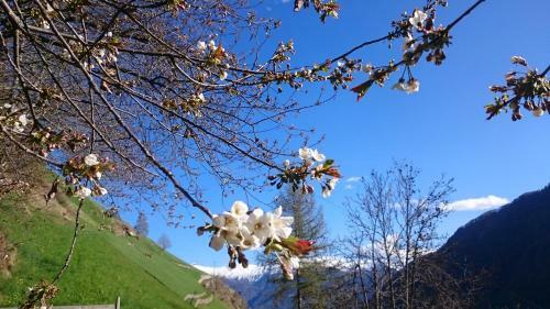 Hotel Am Fels