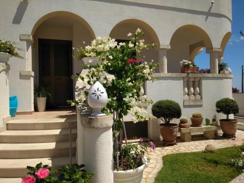 Hostal Sofia