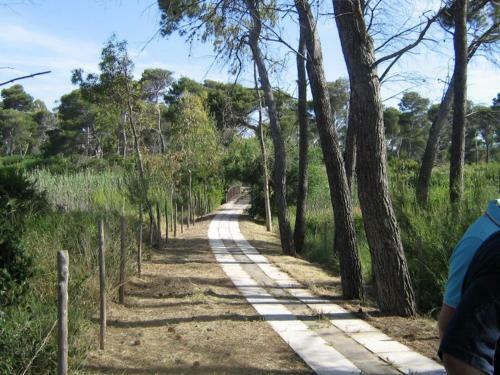 Viola Club Village & Camping