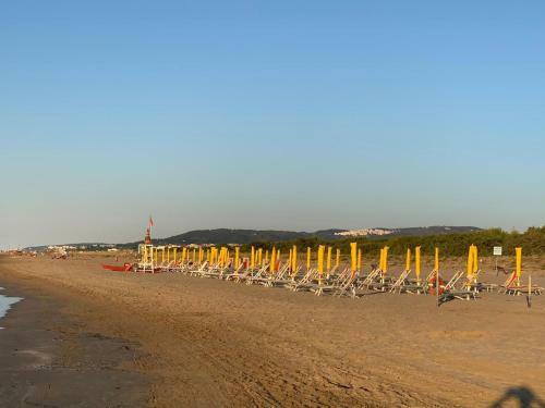 Viola Club Village & Camping