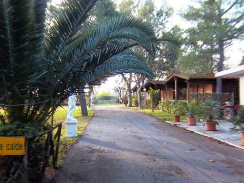 Viola Club Village & Camping
