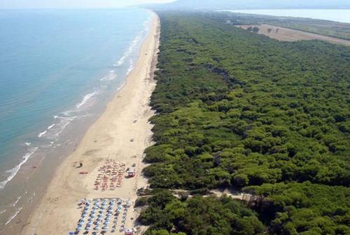 Viola Club Village & Camping