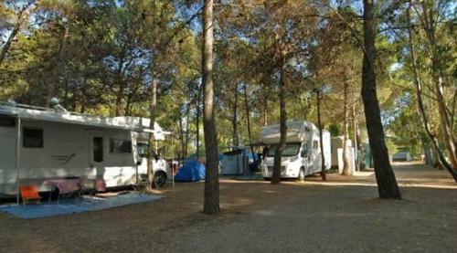 Viola Club Village & Camping