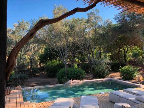 Apartamento R�sidence Les Oliviers
