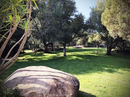 Apartamento R�sidence Les Oliviers