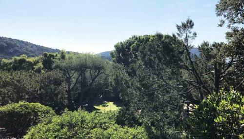 Apartamento R�sidence Les Oliviers