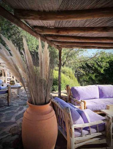 Apartamento R�sidence Les Oliviers