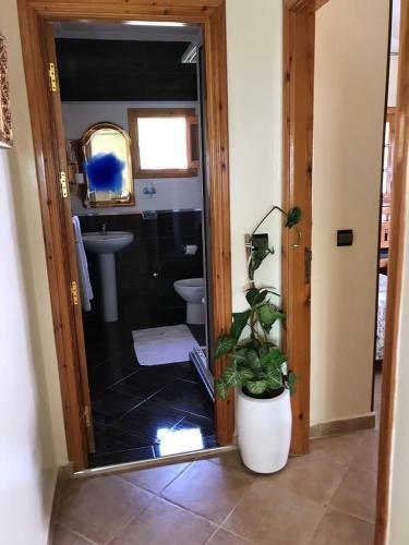 Apartamento Mina House