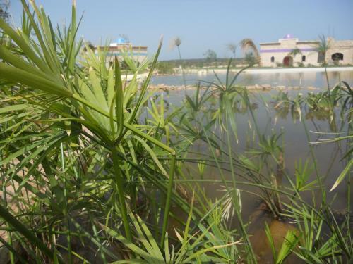 Bed & Breakfast Douar Noujoum