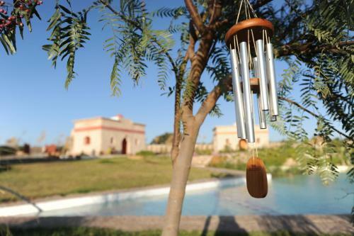 Bed & Breakfast Douar Noujoum