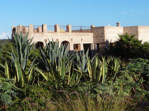 Bed & Breakfast Douar Noujoum
