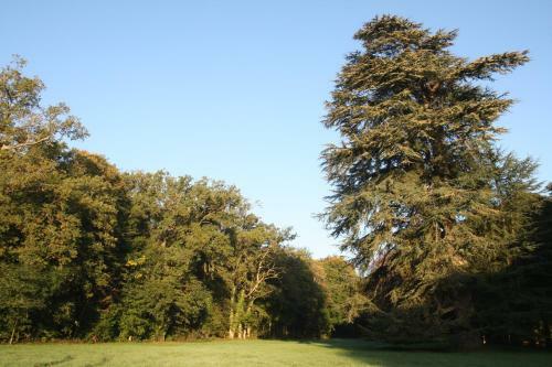 Aux Grilles Du Ch�teau