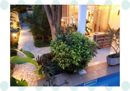 Bed & Breakfast Ahome