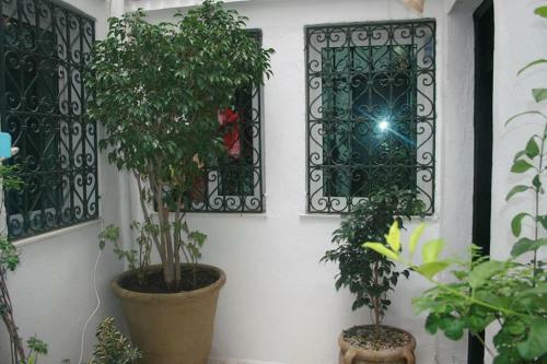 Apartamento Dar Kenza