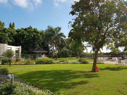 Hotel Tanga Beach Resort & Spa