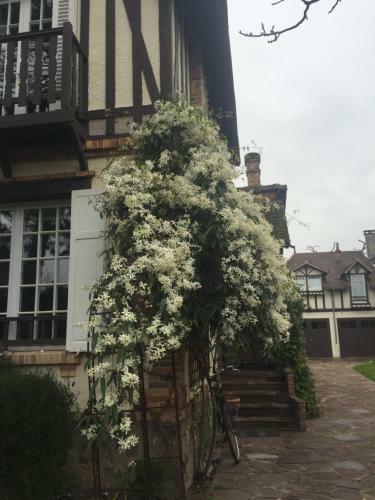 Hostal Maison D'h�tes Paris Riverside