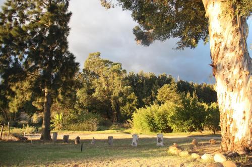 Agroturismo Calais Wine Estate