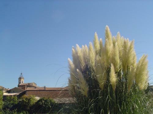 Bed & Breakfast Le Jaccaranda