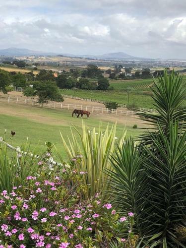 Agroturismo Belcharto