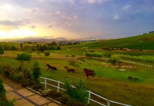 Agroturismo Belcharto