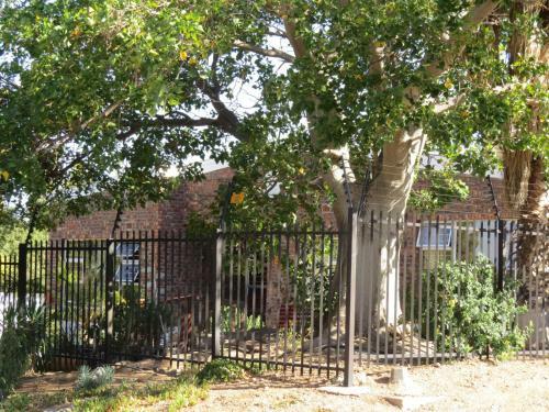Hostal Coral Tree Guest Rooms