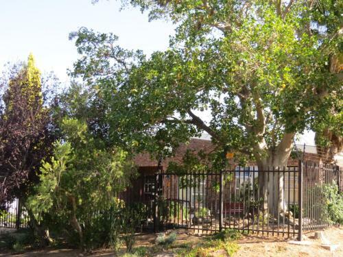 Hostal Coral Tree Guest Rooms