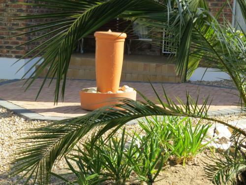 Hostal Coral Tree Guest Rooms