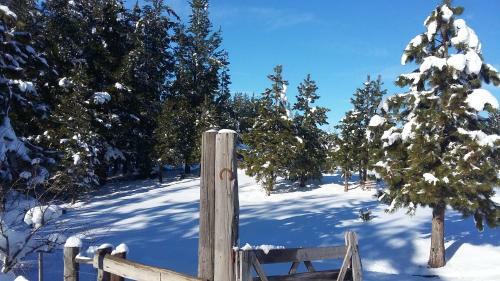 Lodge Altos Del Molino