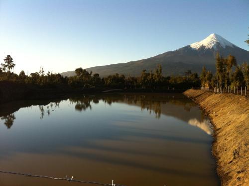 Caba�as El Bosquecito