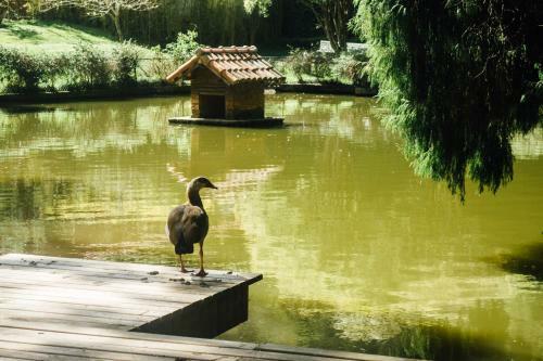 Hostal Pousada Tucano Do Cuiab�