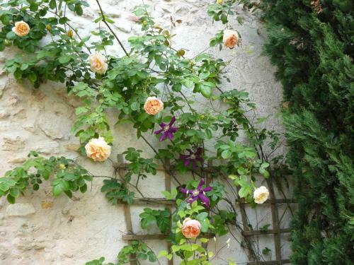 Bed & Breakfast La Ferme St Michel
