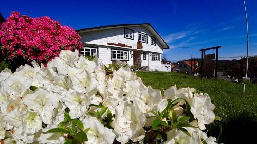 Hotel Hostal Triwe