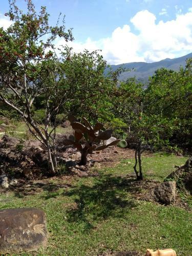 Agroturismo Residencias Art�sticas El Hayuelo
