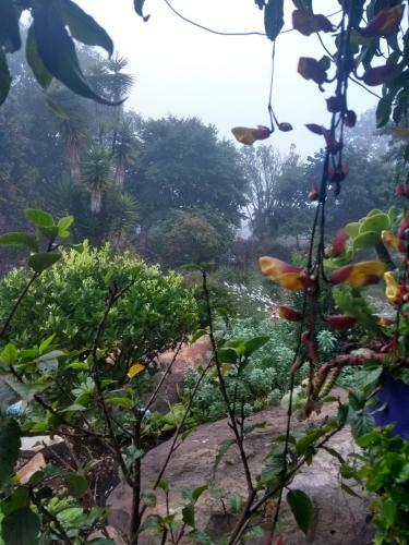 Agroturismo Residencias Art�sticas El Hayuelo