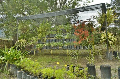 Agroturismo Residencias Art�sticas El Hayuelo