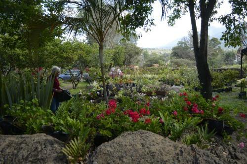 Agroturismo Residencias Art�sticas El Hayuelo