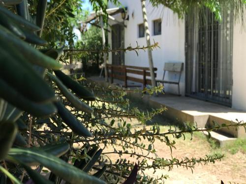 Machi Bungalow