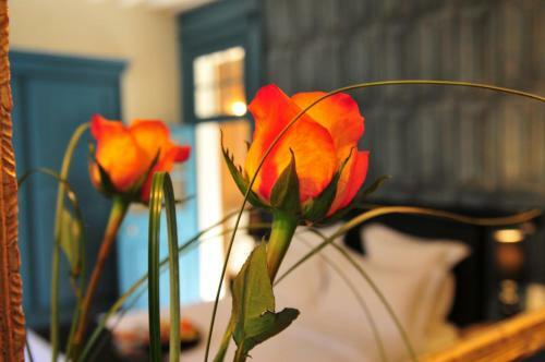 Hotel Sy Les Glycines