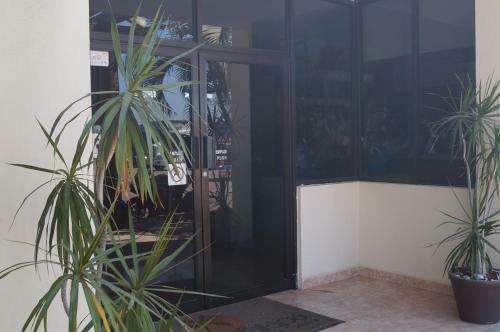 Hotel La Palapa