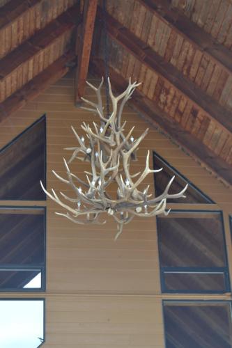 Motel Cowlitz River Lodge