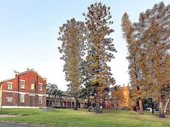 Hotel Mercure Maitland Monte Pio
